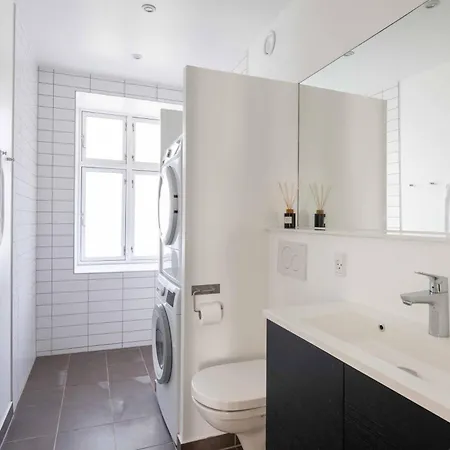 Korsgade Apartment Copenhagen